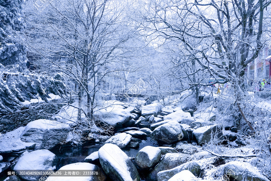 森林雪景