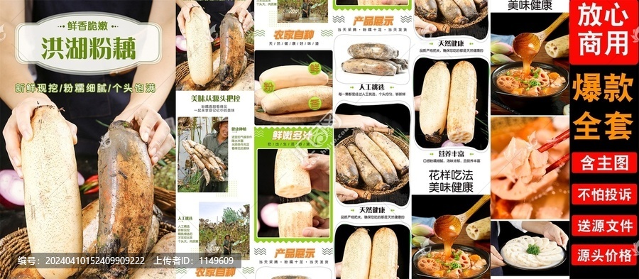 洪湖粉藕詳情頁