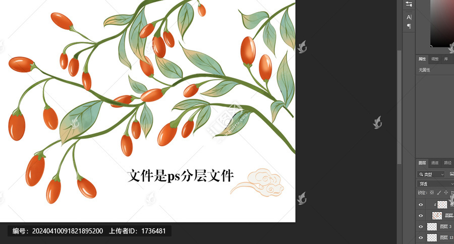 枸杞插畫(huà)
