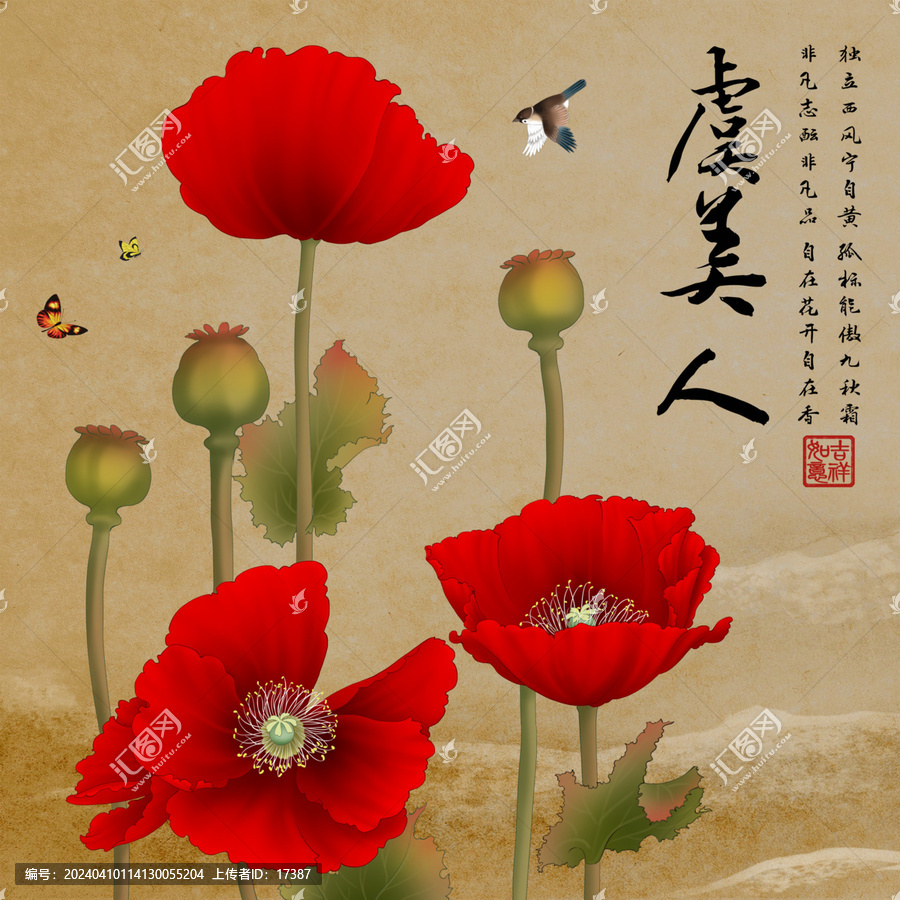 工筆虞美人