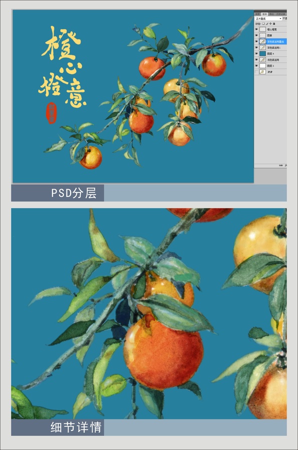 橙子水彩插畫