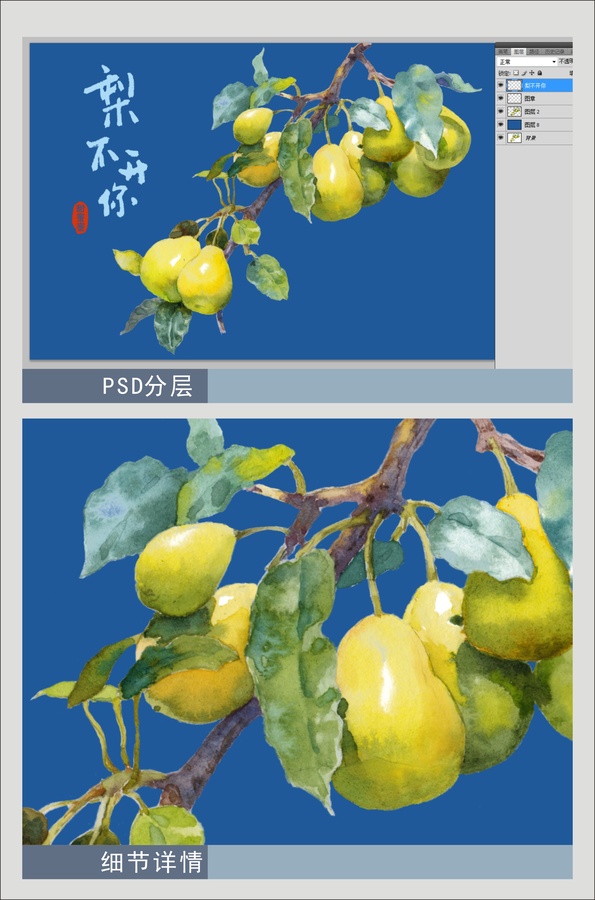 梨子水彩插畫