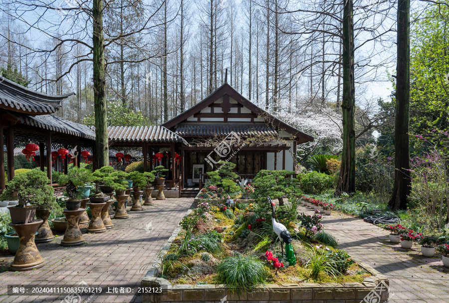 日式园林小院