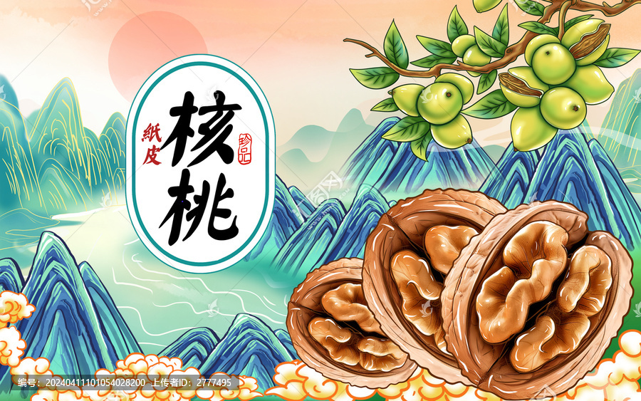 紙皮核桃包裝插畫