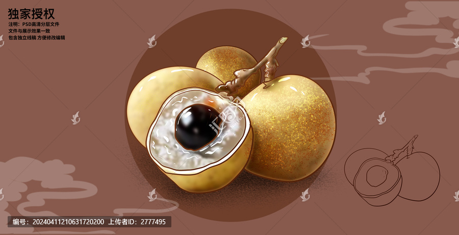 泰國(guó)龍眼插畫(huà)