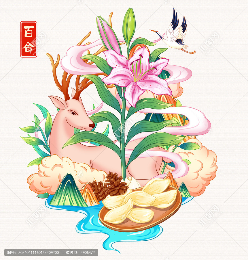 百合插畫手繪