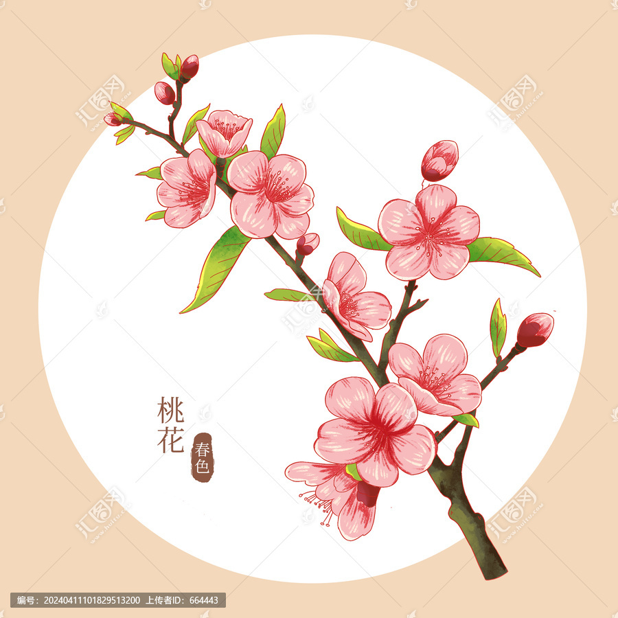 桃花插畫
