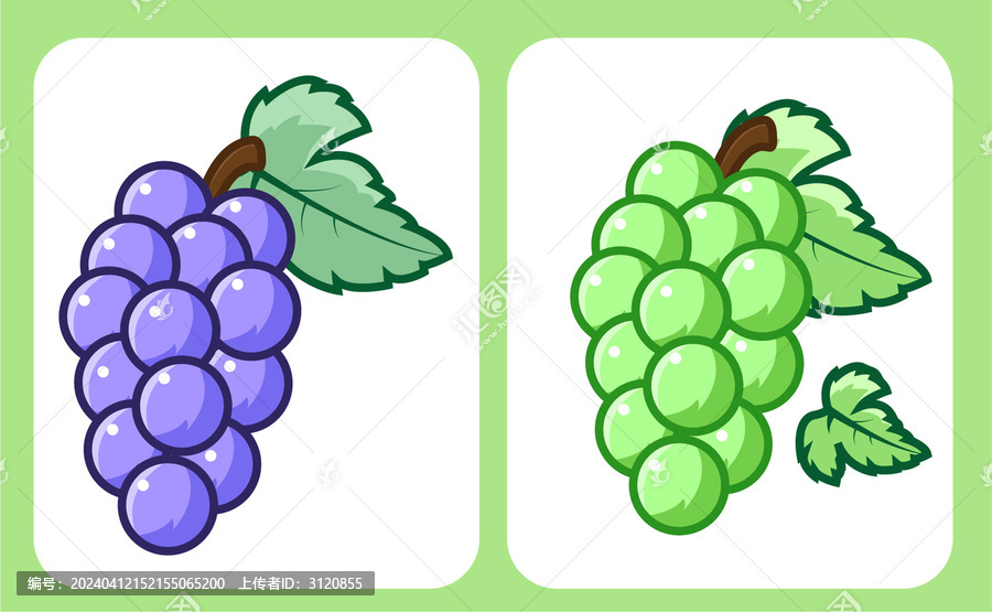 陽光玫瑰巨峰紫色葡萄包裝插畫