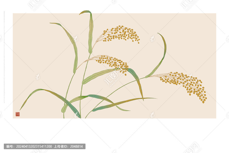 大黃米插圖