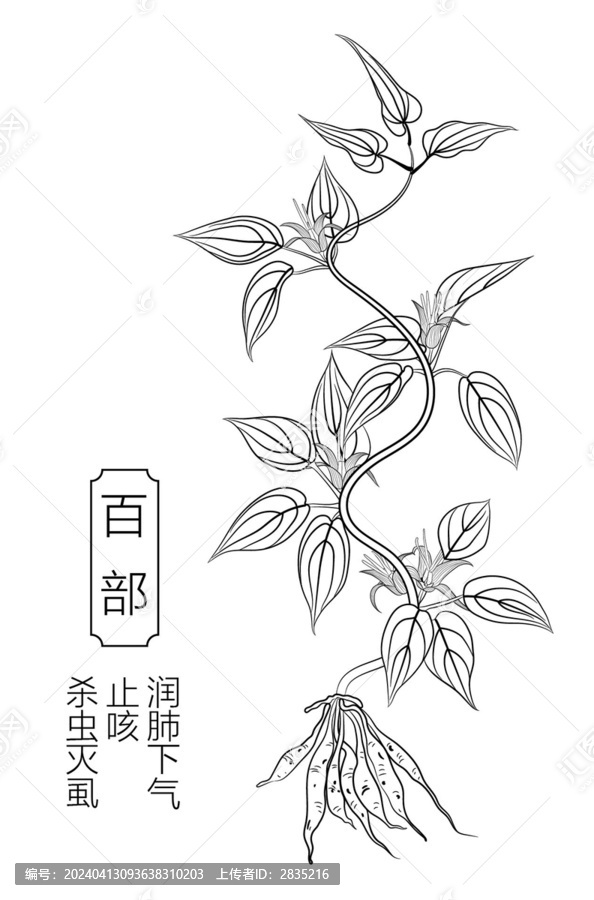 百部線稿