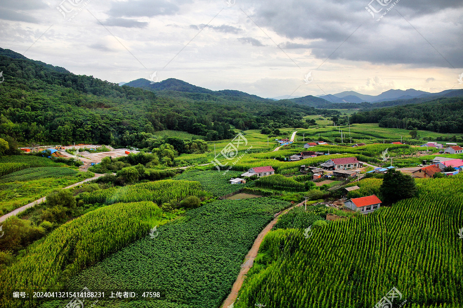 东北田野乡村