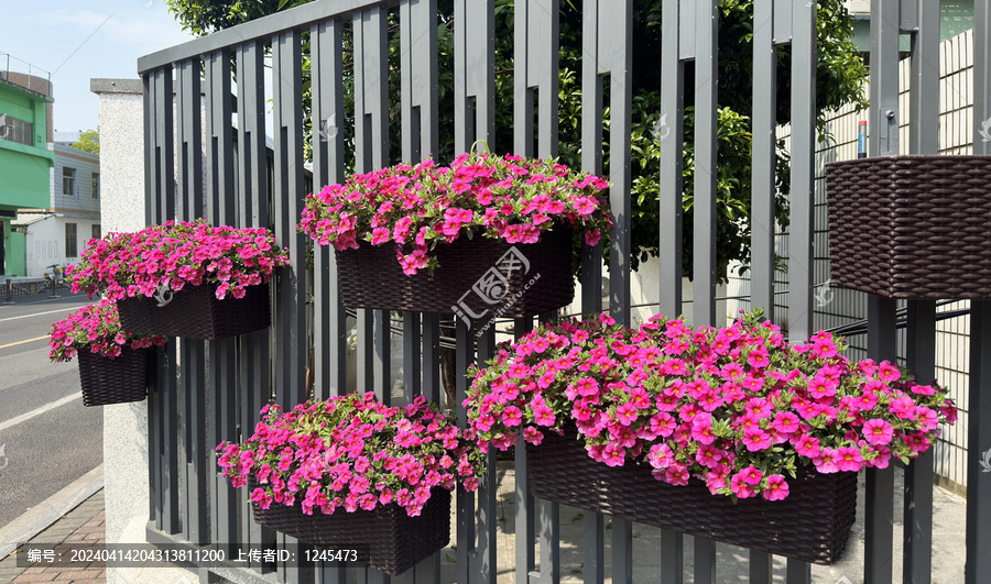 花篮装饰墙