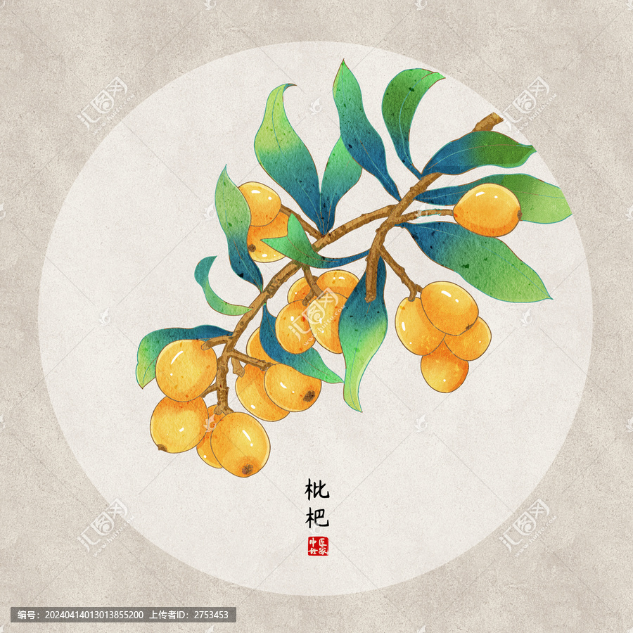 枇杷