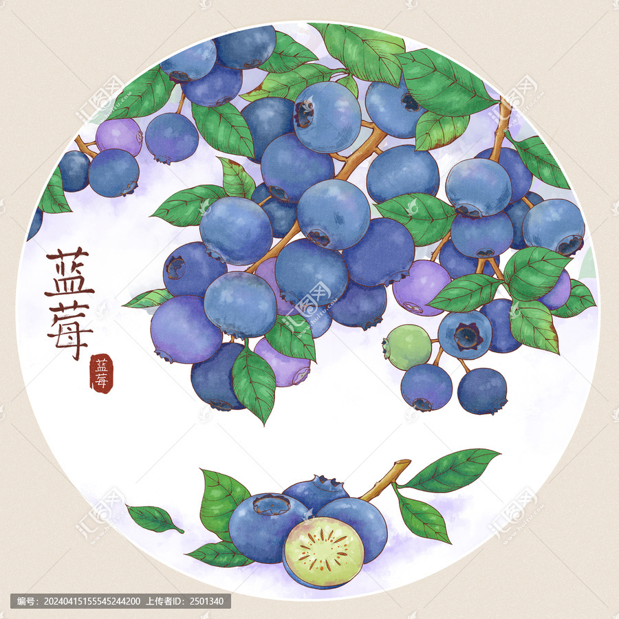 原創(chuàng)手繪水彩風(fēng)藍(lán)莓枝插畫