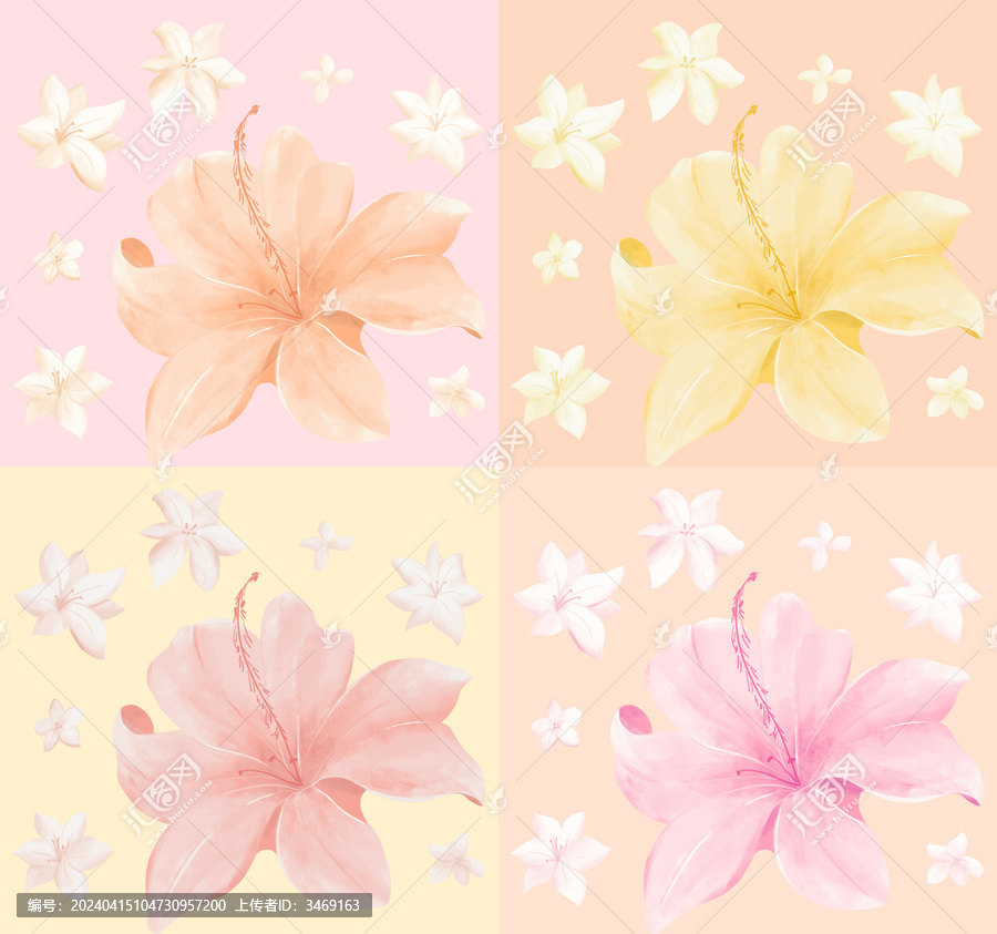 四种不同颜色的手绘百合花组合