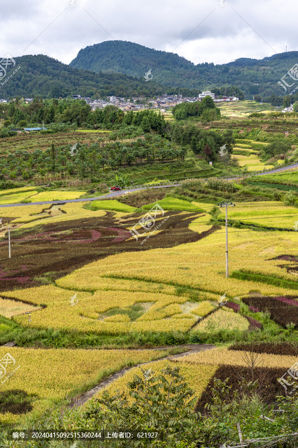 腾冲清水中寨司莫拉佤族村