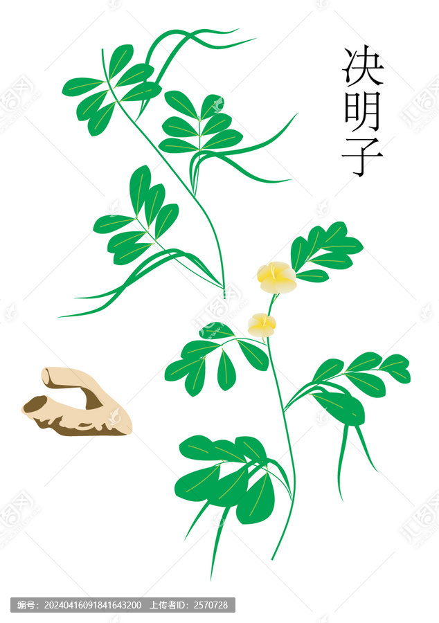 決明子