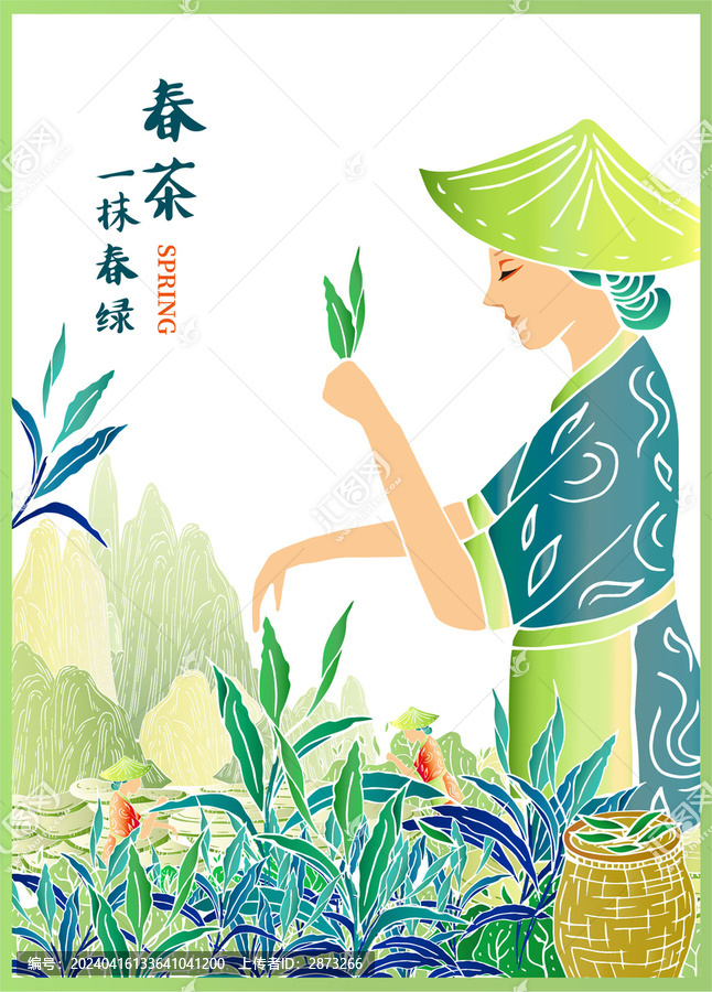 綠茶包裝