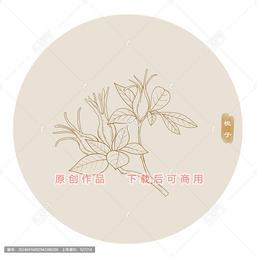 線描梔子