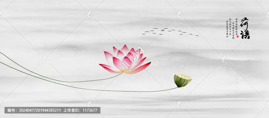 禪意荷花