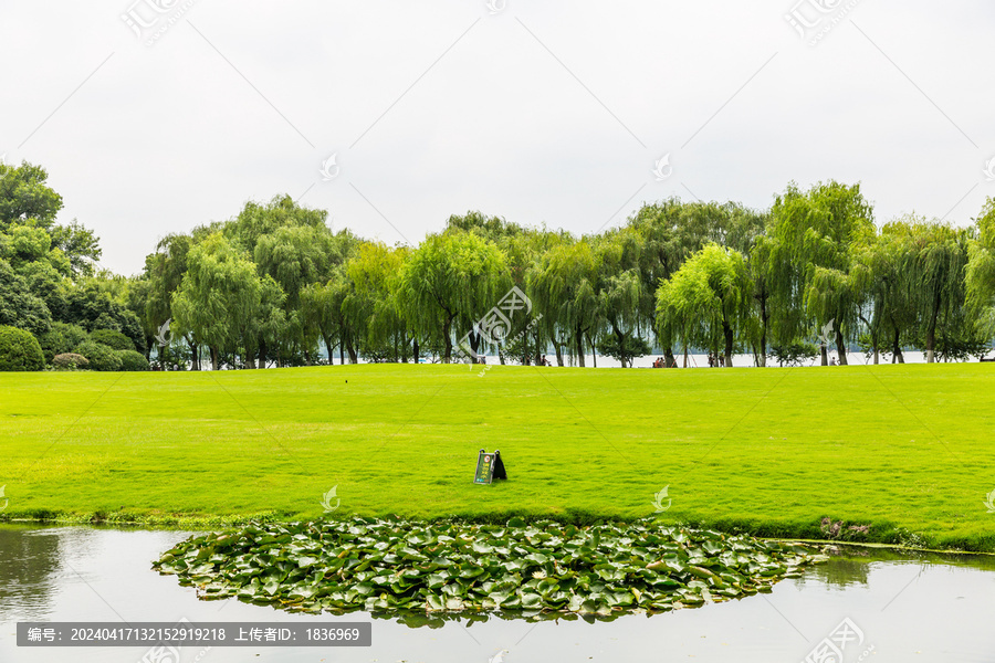 草地湖泊绿树林