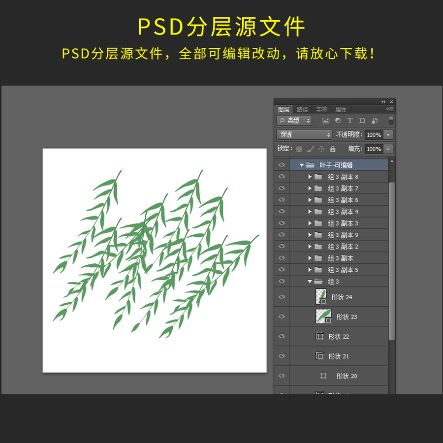 柳樹葉子