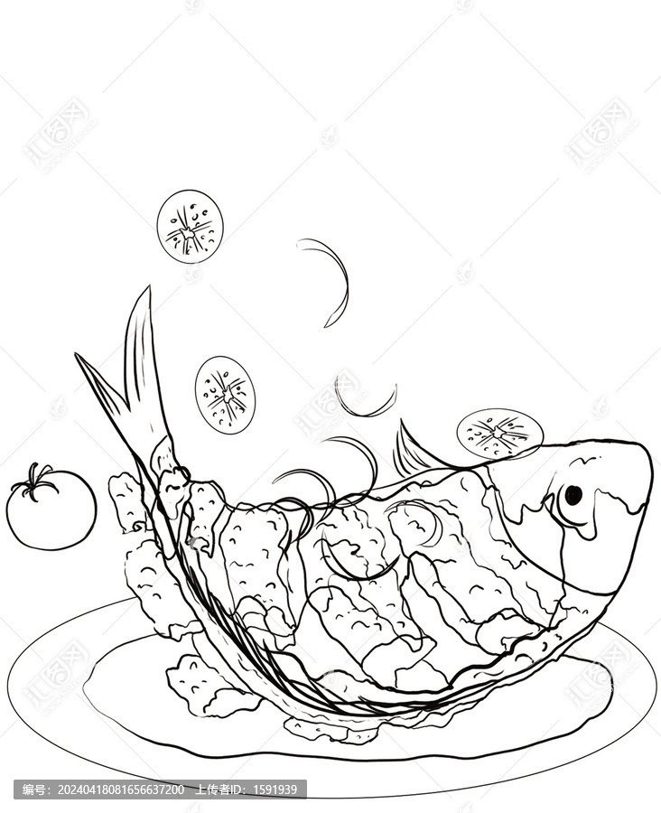手繪鯉魚線稿