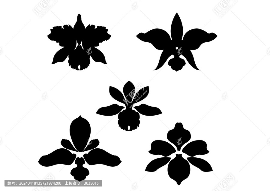 矢量蘭花圖標