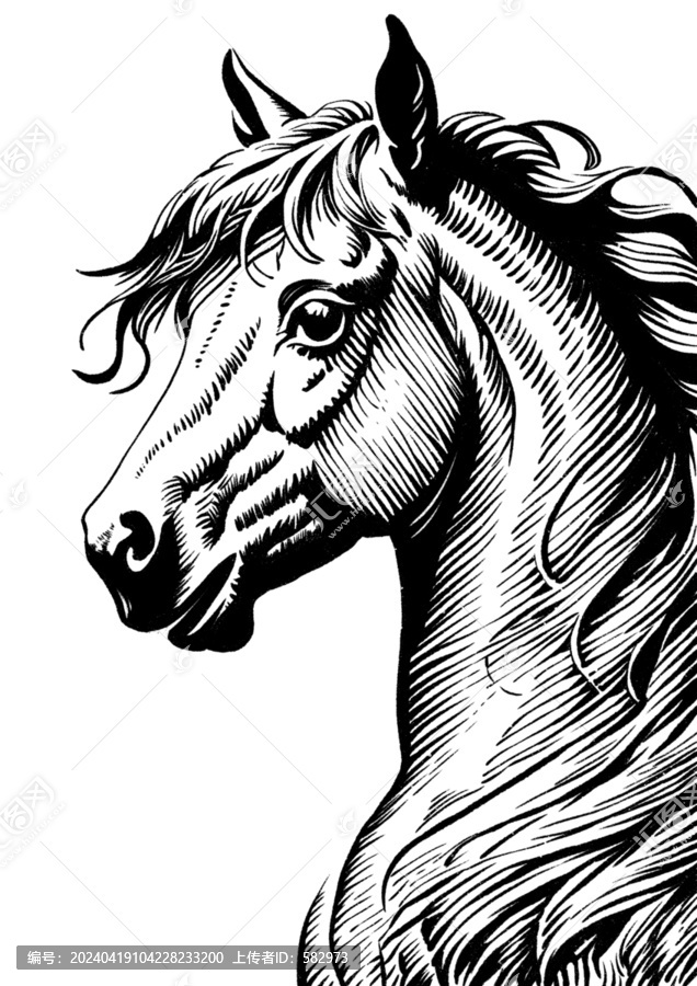 黑白版畫馬