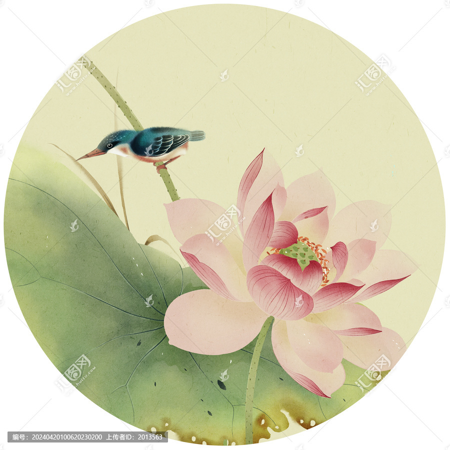 古風(fēng)荷花翠鳥