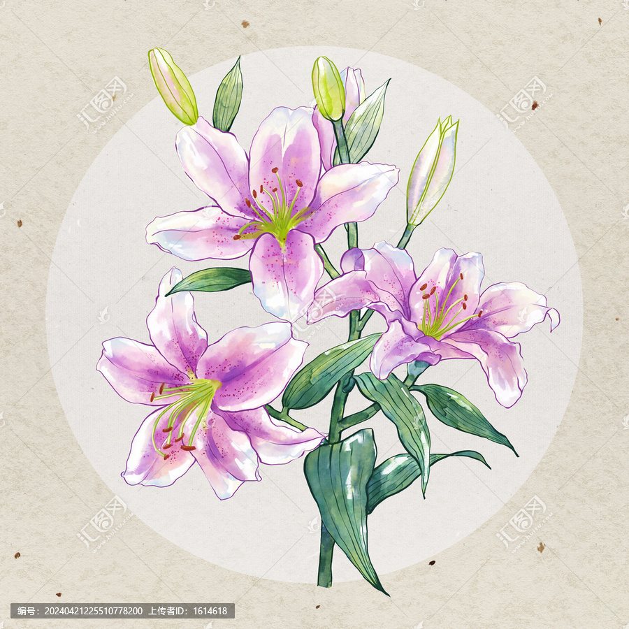 水彩手繪百合花元素印花圖案