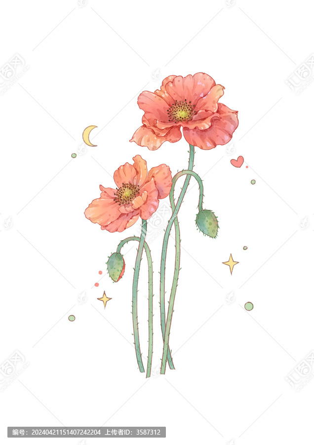 虞美人
