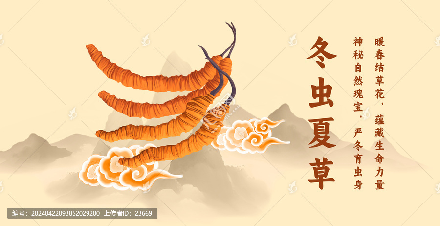 冬蟲夏草