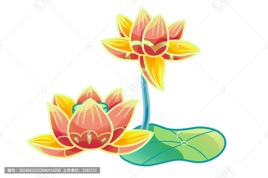 荷花