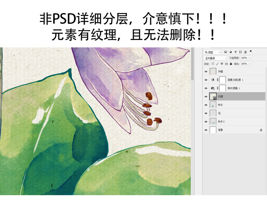 水彩手繪紫色玉簪紫萼插圖