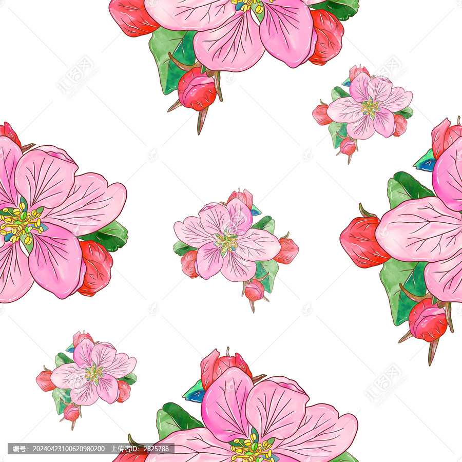 海棠花