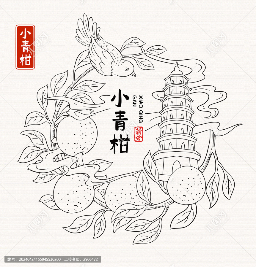 小青柑包裝插畫