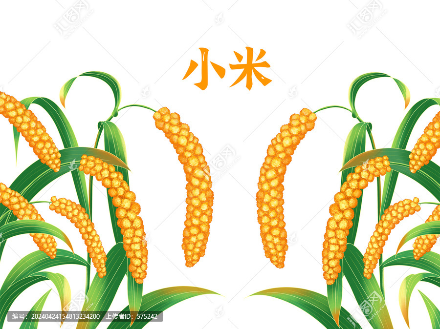 手繪小米穗