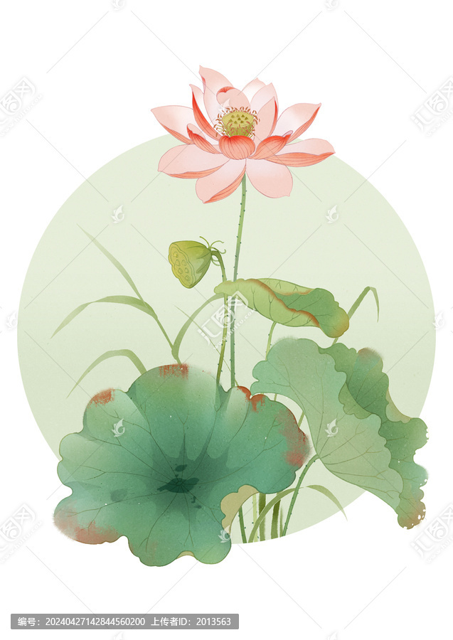 古風荷花