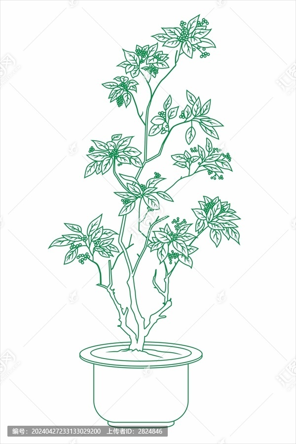盆栽綠植
