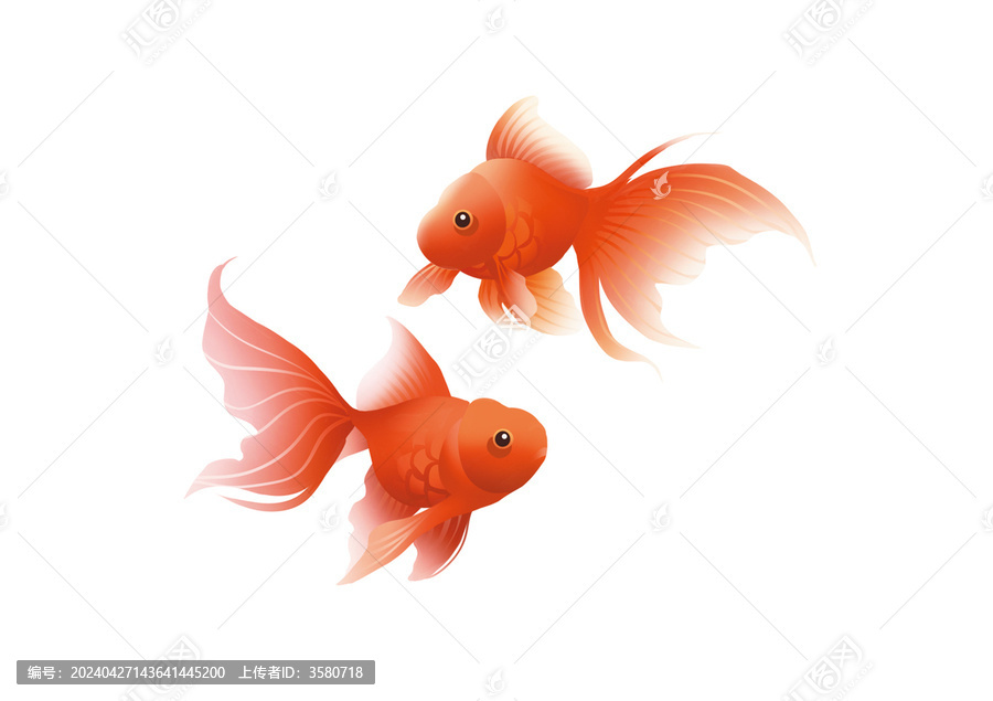金魚(yú)矢量圖