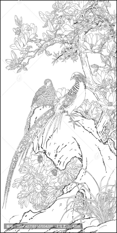 玉蘭花鳥(niǎo)國(guó)畫(huà)白描線稿