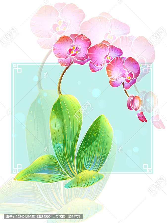 國潮花卉之蝴蝶蘭