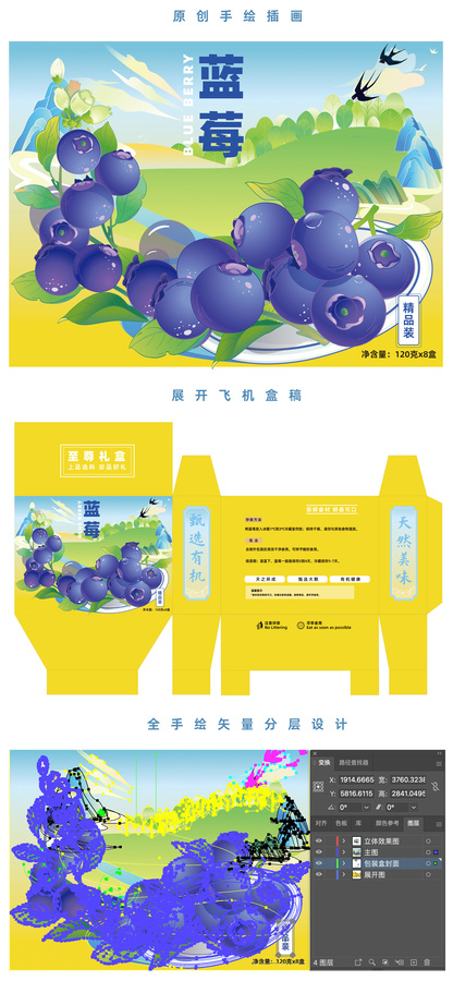 藍(lán)莓鮮果水果盒裝飛機(jī)盒矢量包裝