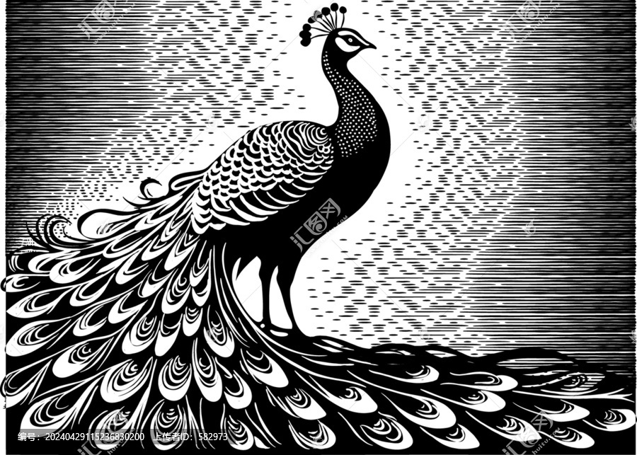 矢量孔雀插畫