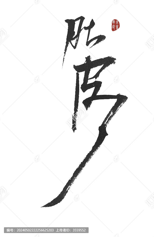 肚皮