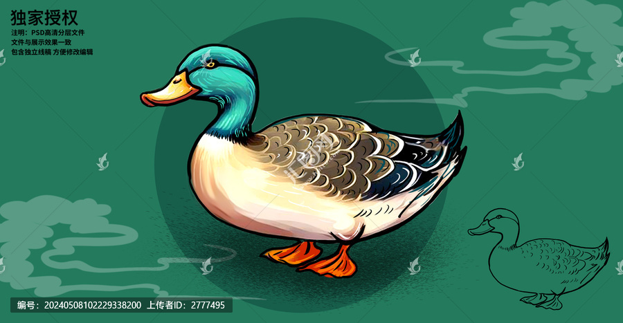 青頭鴨插畫