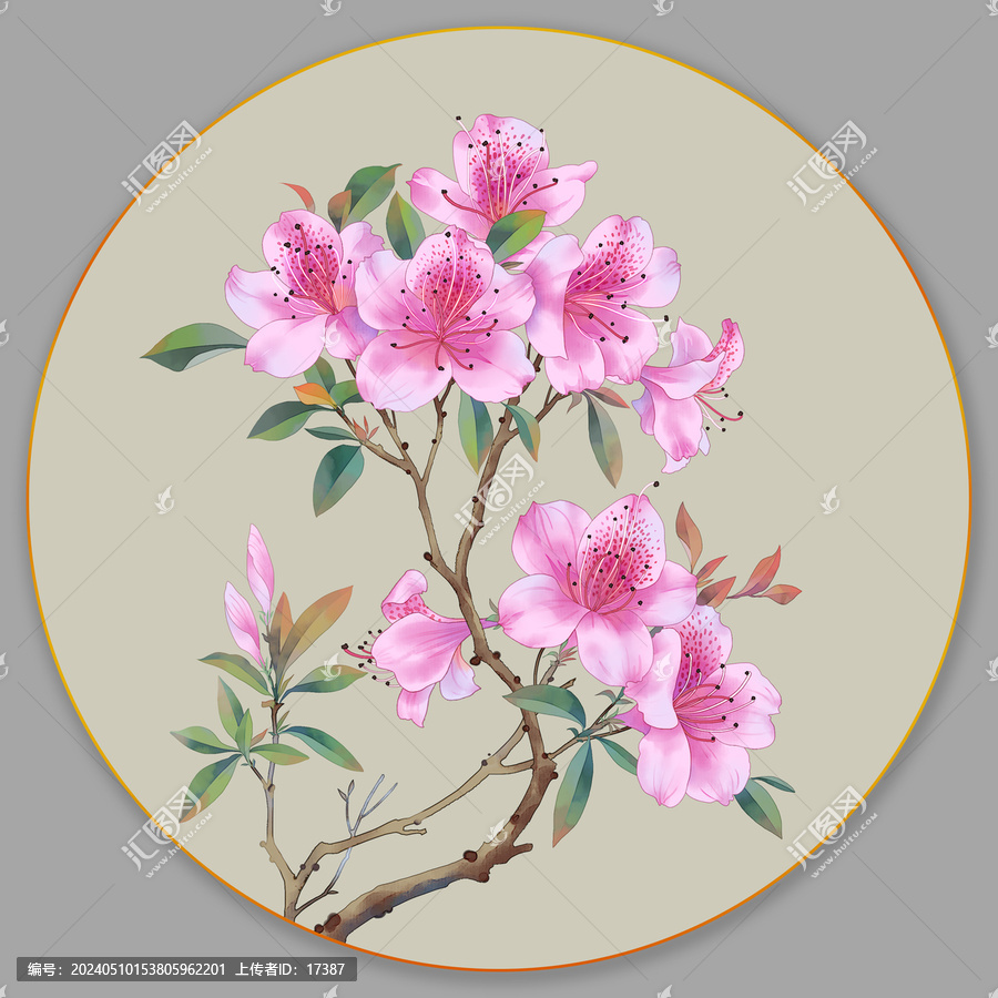 杜鵑插畫