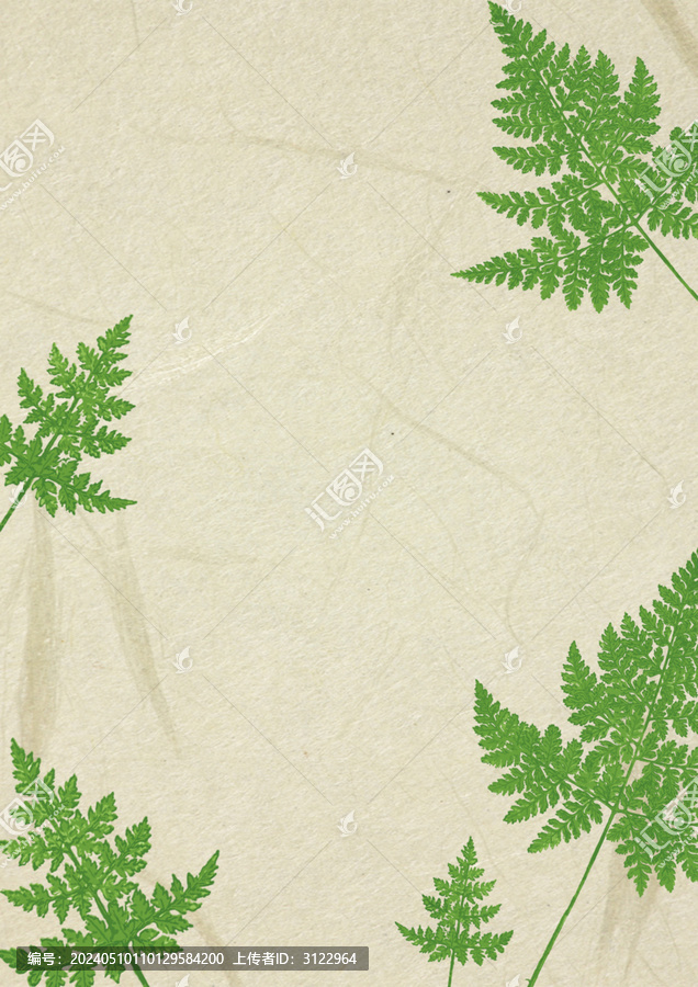 綠色蕨類植物紙紋邊框