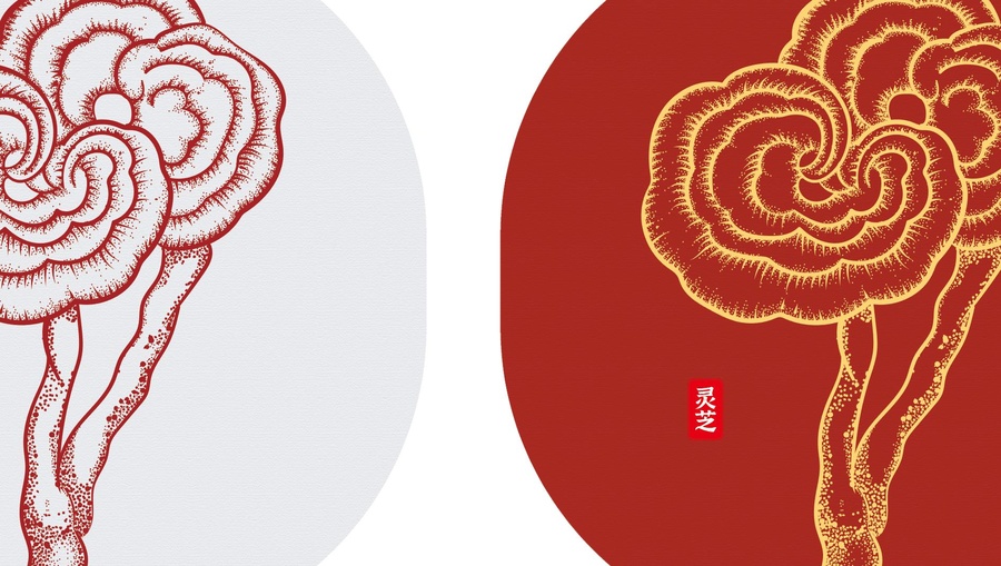 靈芝